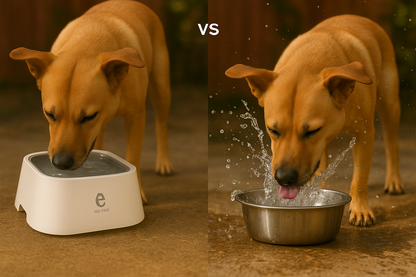 non-spill dog drinking bowl